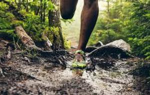 Entrainement Trail du mardi