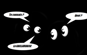 Reconnaissance GAILLARDAISE