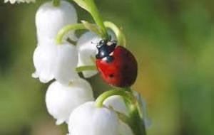 Entrainement du mardi