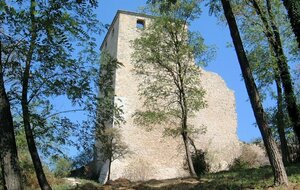 sortie du jeudi à la Tour de St Denis en bugey