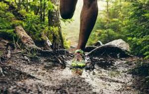 Sortie du jeudi à St Denis en bugey